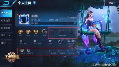 王者师叔爆料视频下载,深度解析游戏内幕与精彩瞬间  第3张