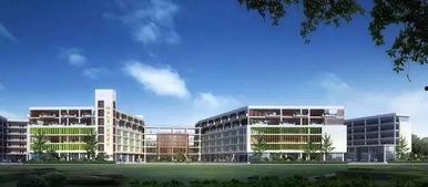 南宁学院新瓜最新爆料视频,校园风云再起  第2张