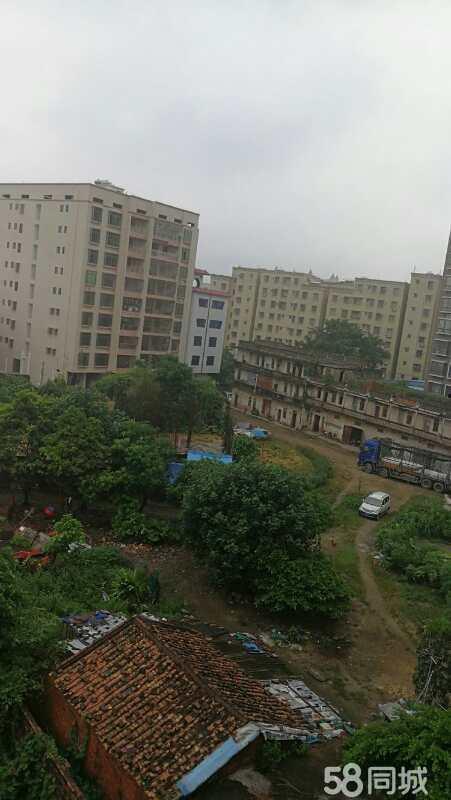 化州广伦花园最新爆料,揭秘神秘爆料背后的精彩细节