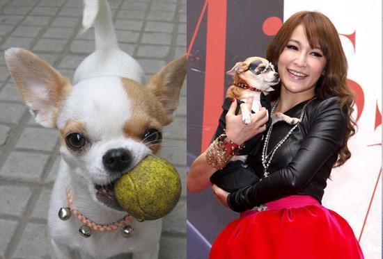 娱乐圈爆料50条狗,揭秘明星背后的狗血故事  第3张